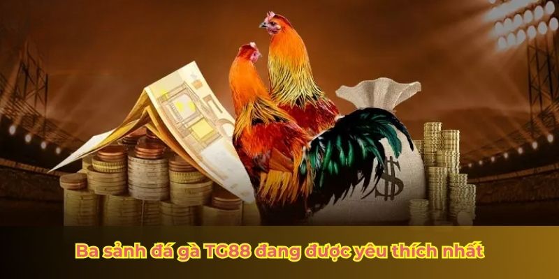 Ba sảnh đá gà TG88 đang được yêu thích nhất 