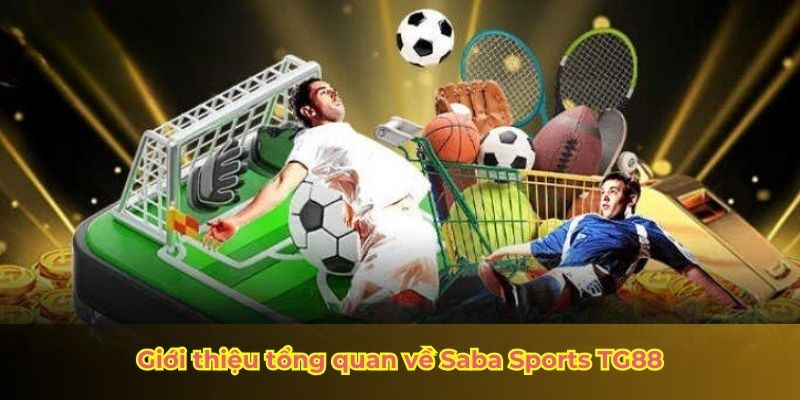 Giới thiệu tổng quan về Saba Sports TG88