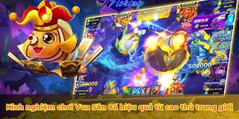 Kinh nghiệm chơi Vua Săn Cá hiệu quả từ cao thủ trong giới