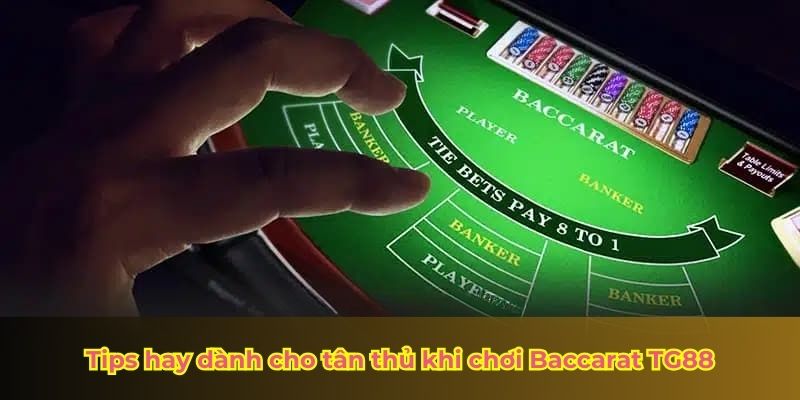 Tips hay dành cho tân thủ khi chơi Baccarat TG88